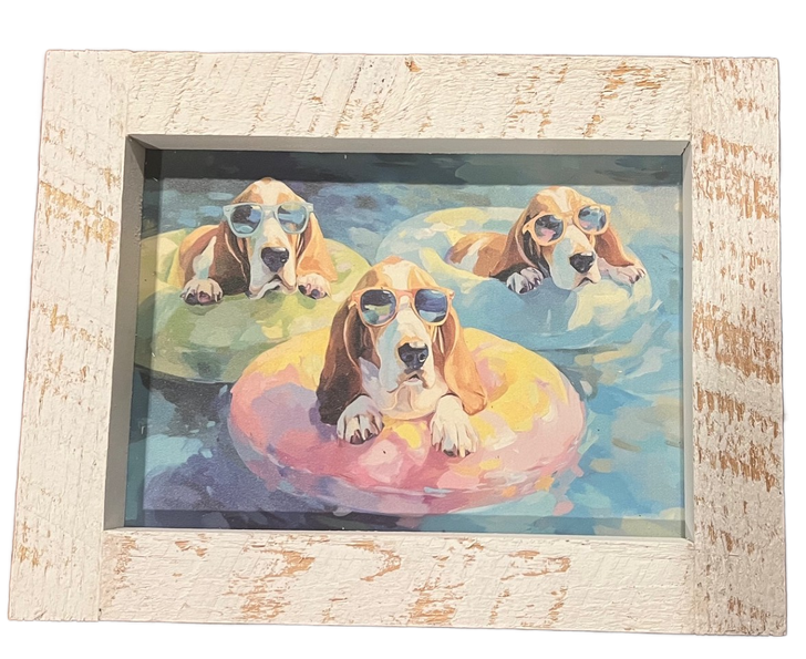 Basset Hounds Swimming Framed Print