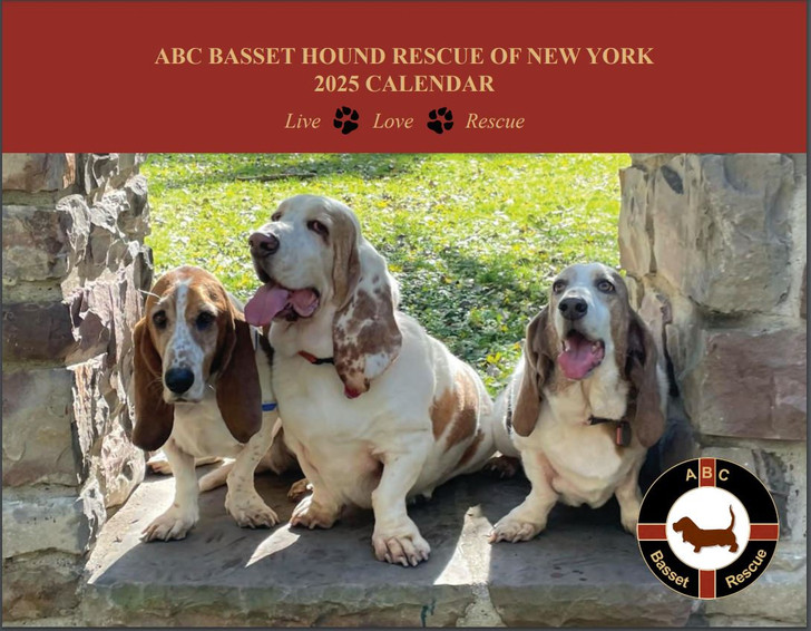 2025 ABC Basset Hound Rescue Calendar