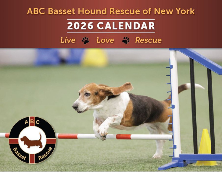 2026 ABC Basset Hound Rescue Calendar