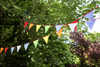 Multi-Coloured Bunting Hanging Trees