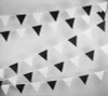 Black and White Bunting