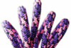 Purple Haze 11.2mm 24 Strand Climbing Line - 600 FT - No eye - Purple and Pink with Black