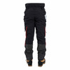 ARB-TU71ZHL: Clogger PANTS CHAINSAW EMBER LG