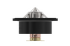 DZ120917: THERMOSTAT