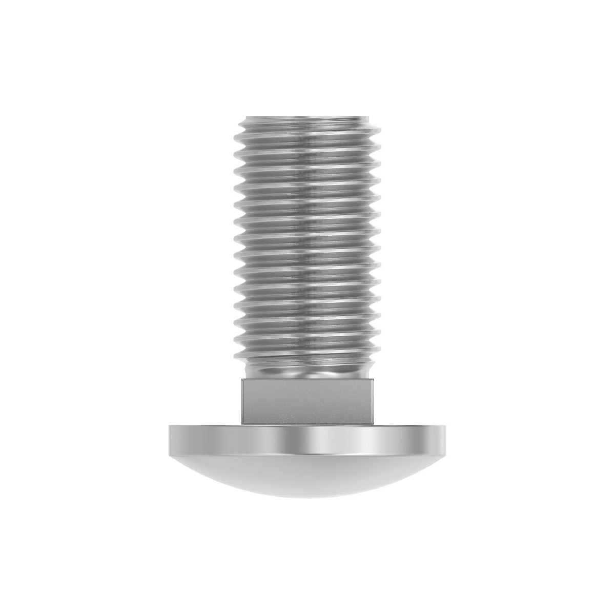 03M7306: BOLT