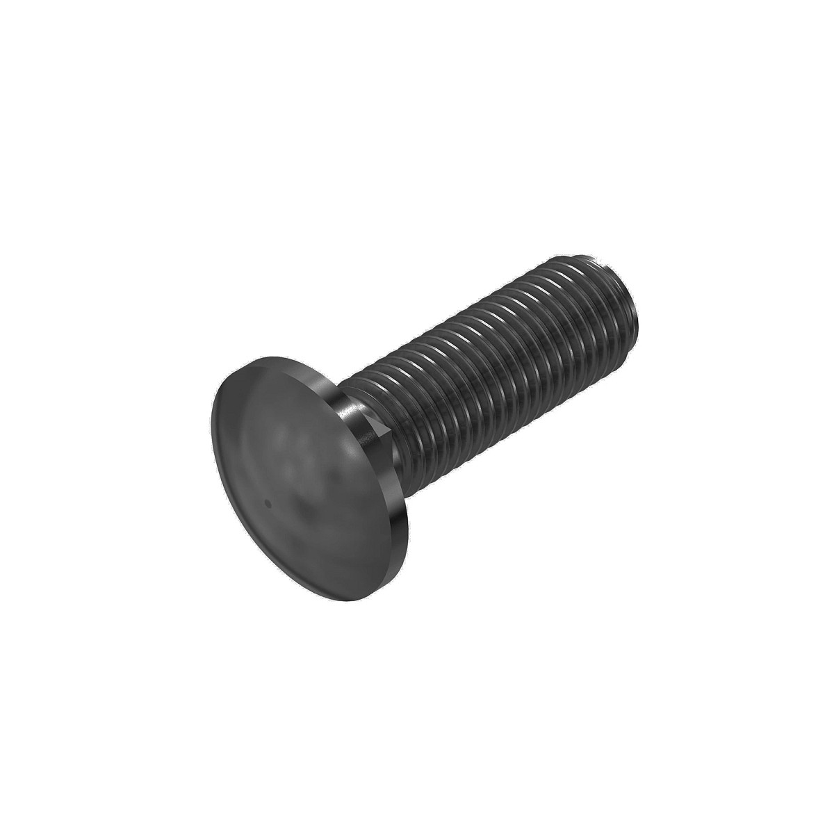 03M7575: BOLT