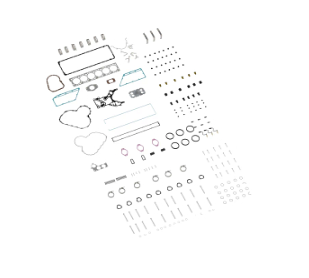 DZ112021: ENGINE OVERHAUL KIT