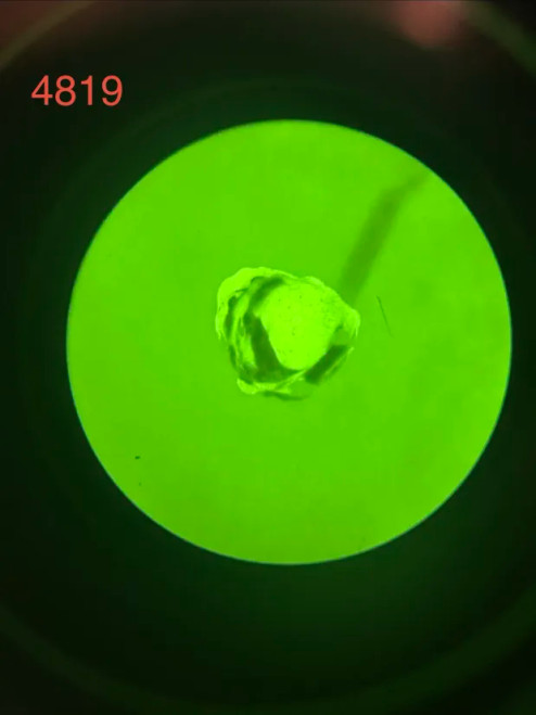 Blem Tube No Housings