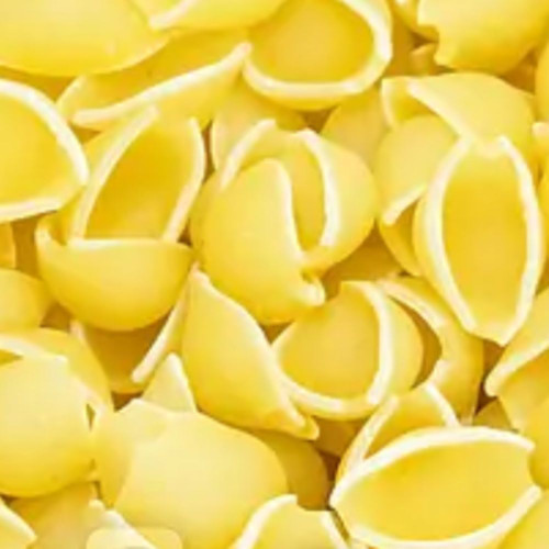 Shells Short Cut Pasta