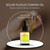 Solar Plexus Oil 30ml