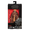 Star Wars The Black Series 6-Inch PLO KOON Action Figure in packaging.