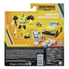 Special Buzzworthy Bumblebee collectible packaging.
