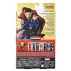 Marvel Legends Series DOCTOR STRANGE 6-Inch Action Figure - Back of box.