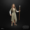 Star Wars fans and collectors can display this fully articulated figure featuring poseable head, arms, and legs, as well as premium deco, in their action figure and vehicle collection.