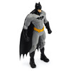 Wears Batman's classic grey & black suit which includes a cape.