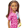 The Barbie set features a Skipper doll in her onscreen-inspired outfit, a sweet puppy and accessories for animal care!