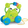 Fisher-Price Growing Baby PULL-ALONG FROGGIE