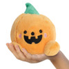 At around 5 inches (13 cm), it is perfectly palm-sized, making it ideal for little hands, desk displays, or adding to a growing plush collection.