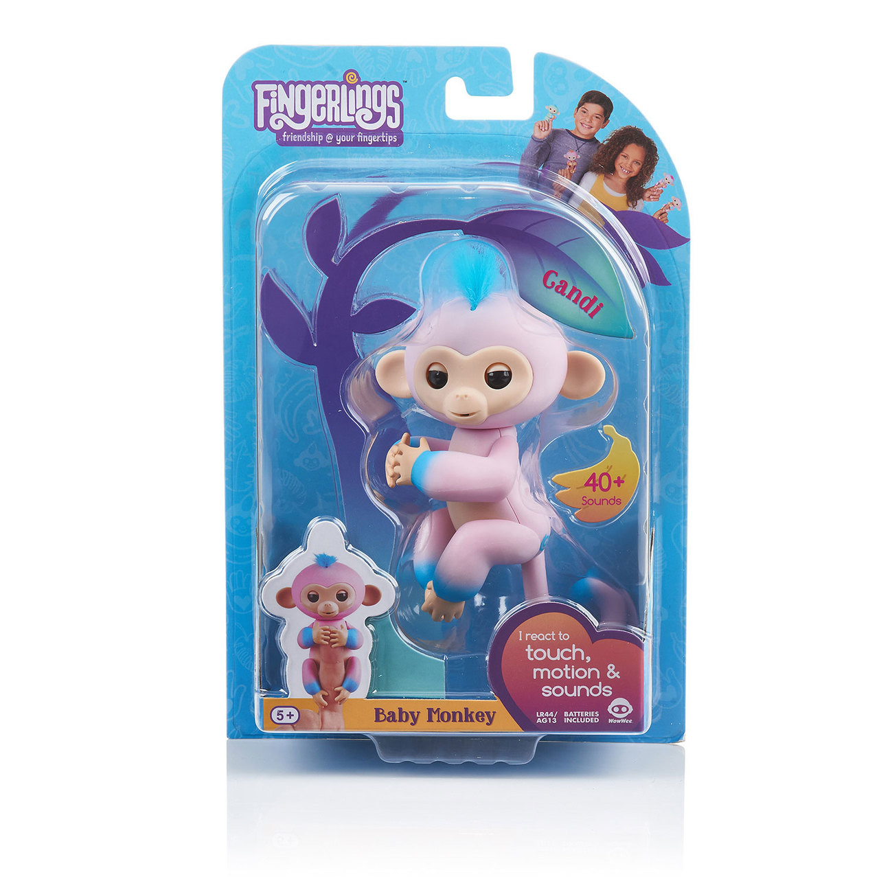 Candi fingerling sales