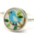 Tiny Bird in a tree ring
