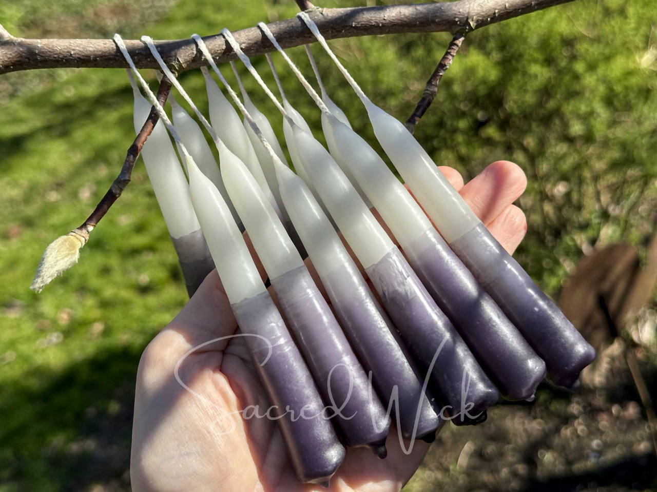 Handmade beeswax taper spell candles