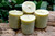 Four bayberry votive candles displayed on raw wood with greenery in the background, hand-poured bayberry and beeswax candles for Christmas décor.