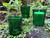 Three emerald green glass votive candle holders displayed in greenery, with the center holder lit by a candle (not included), showing the rich stained-glass effect of the glass.