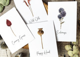 Dried flower Table Names