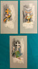 Sacramental Symbols- Grey Background Holy Cards - Set of 3