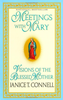 Meetings with Mary by Janice Connell