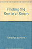 Finding the Son in a Storm by Lorraine Gariboldi