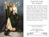 Saint Joseph Terror of Demons Prayer Card