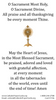 Holy Communion Prayer Card