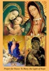 Prayer for Peace to Mary, the Light of Hope - Large Prayer Card