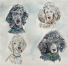 Custom Pet Portrait