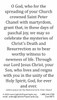 St. Peter Chanel Prayer Card