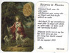 Surprise in Heaven with Jesus Medal Prayer Card