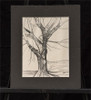 Used gnarled Tree Sketch by Joseph Matose