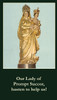 Our Lady of Prompt Succor Prayer Card