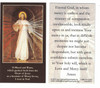 Divine Mercy Eternal God Prayer Card