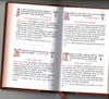 Franciscan Daily Companion Book