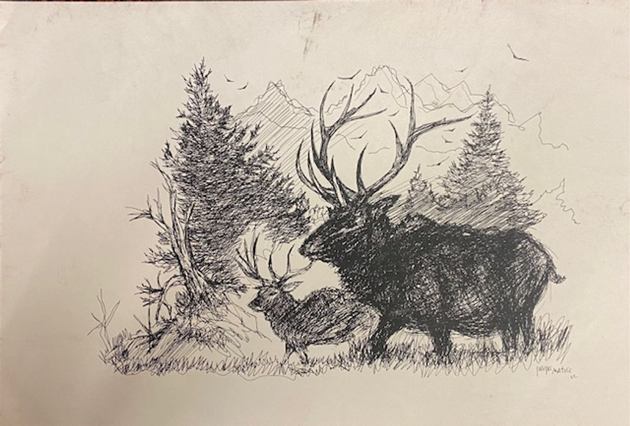Elk in Nature sketch by Joseph Matose - 11"x 17"