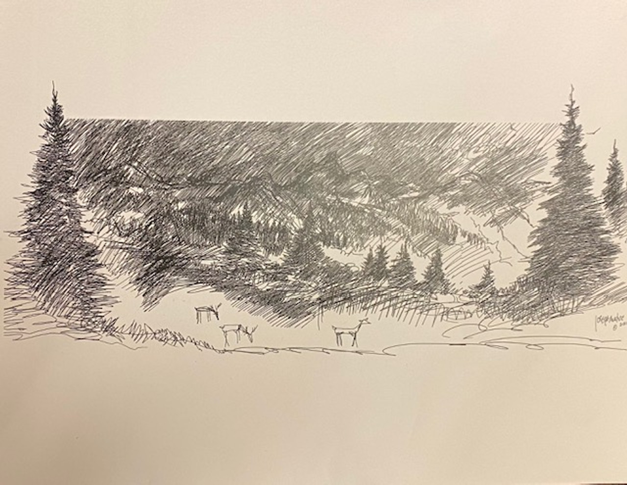 Forest scene with deer sketch by Joseph Matose 8"x 11"