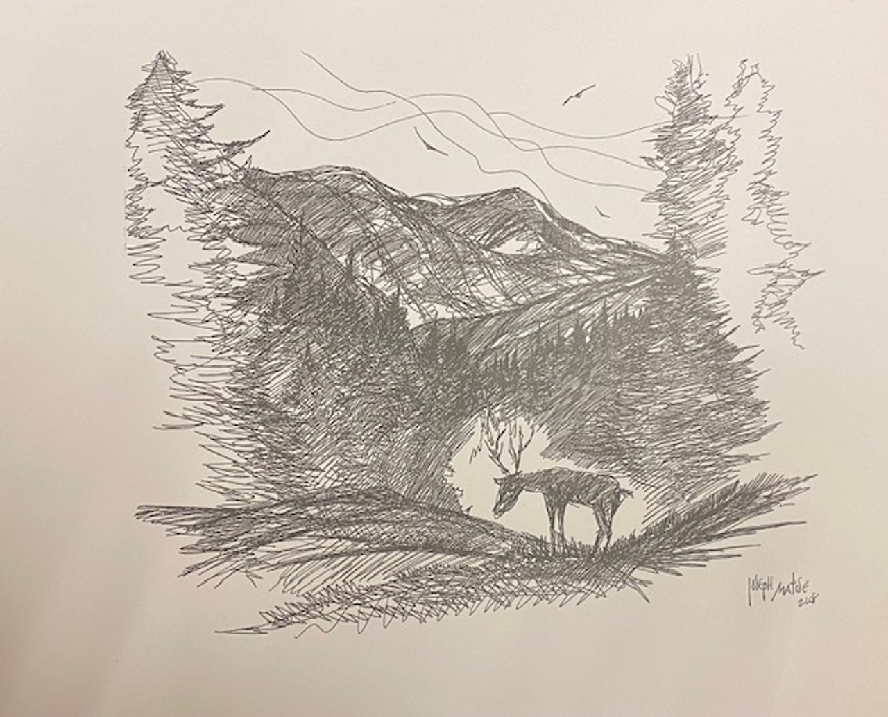 Wilderness scene sketch by Joseph Matose 8"x 11"