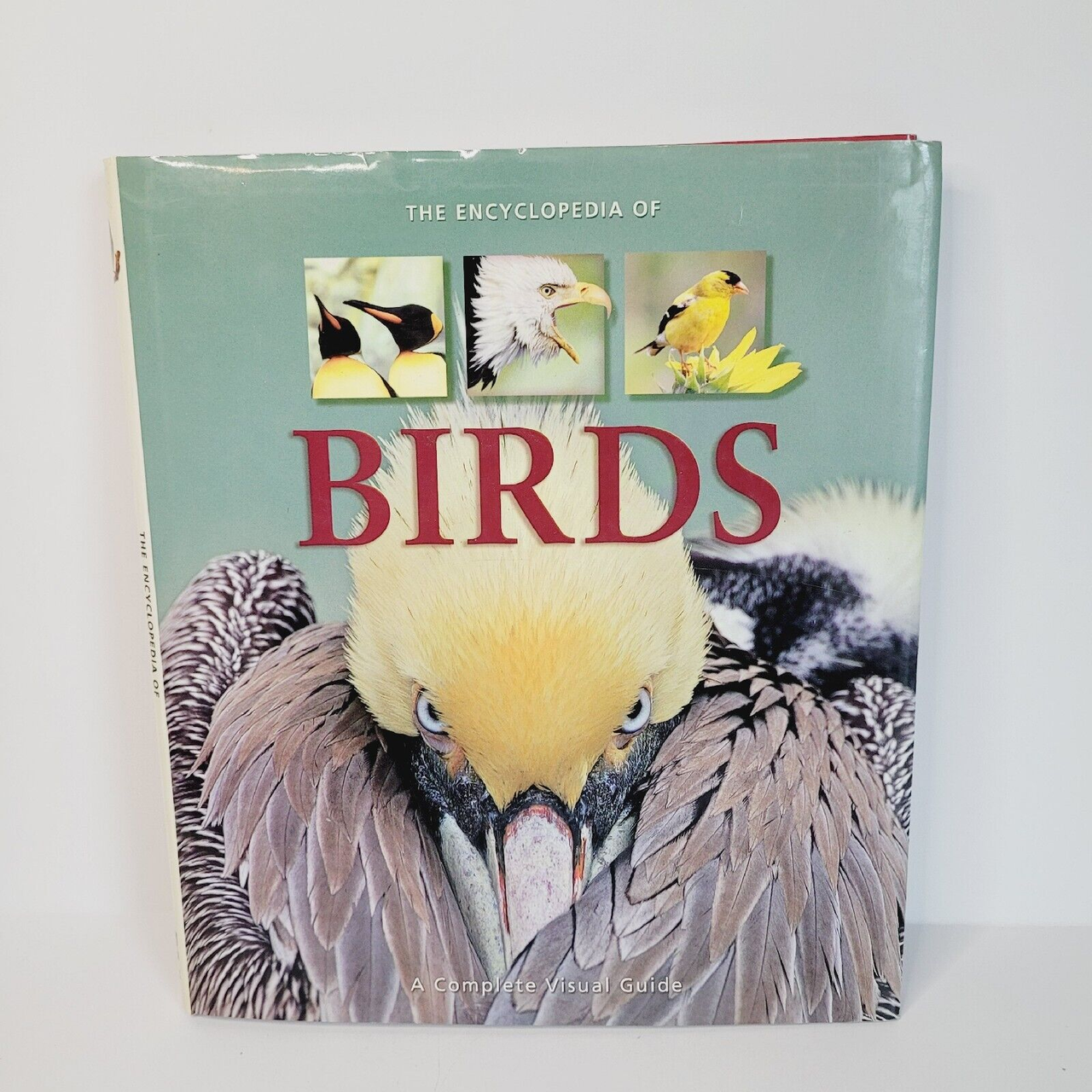 The Encyclopedia of Birds A complete Visual Guide
