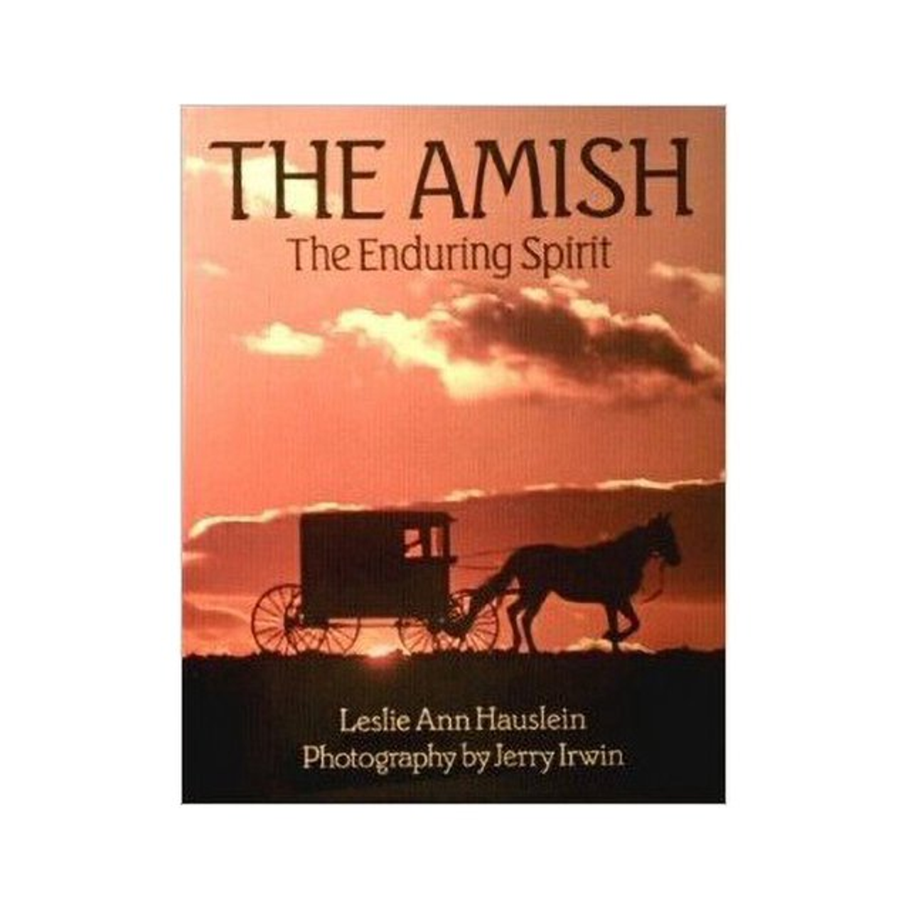 The Amish The Enduring Spirit by Leslie Ann Hauslein