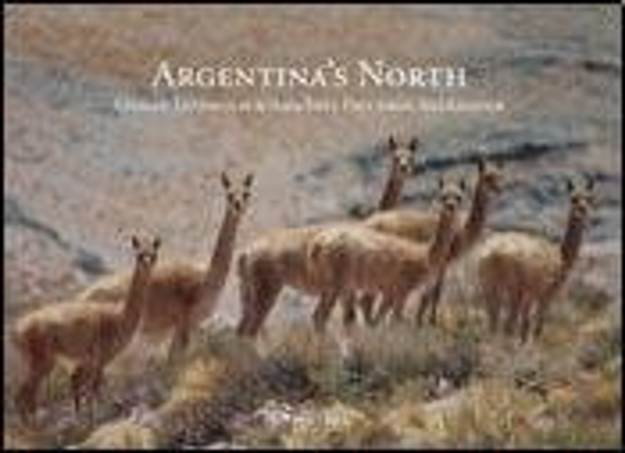 Argentina's North by Ossian Lindholm & Ana Ines Figueroa Alexander