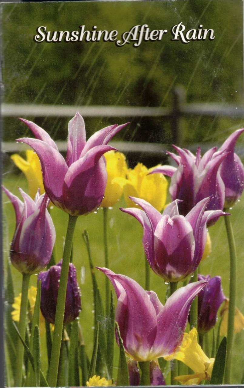 Sunshine After Rain