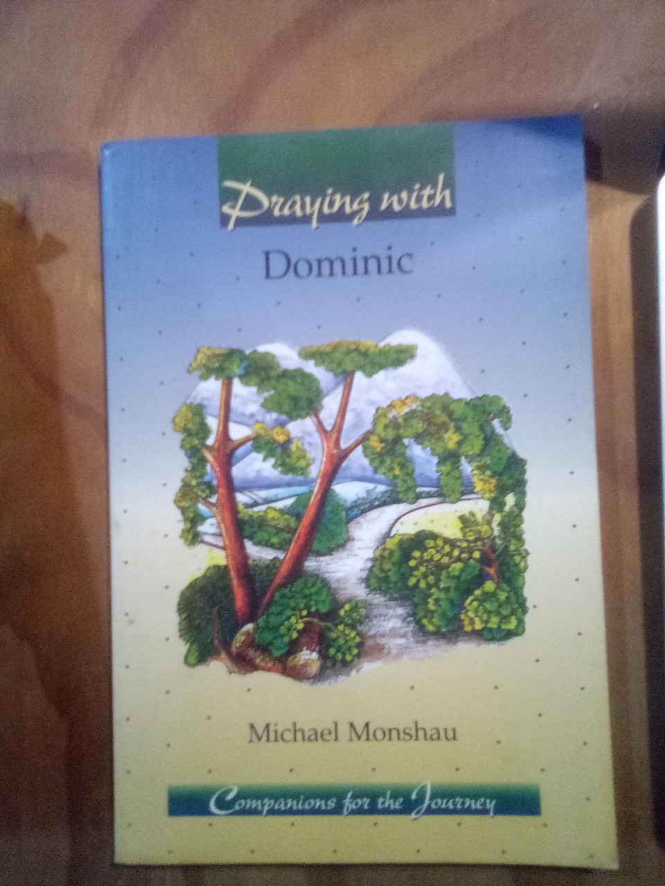 Praying With Dominic (Companions for the Journey) Paperback – January 1, 1995 by Michael Monshau (Author) A GENTLY USED BOOK THAT IS AN EXCELLENT GUIDE TO PRAYER FOR ALL ADULT CHRISTIANS.