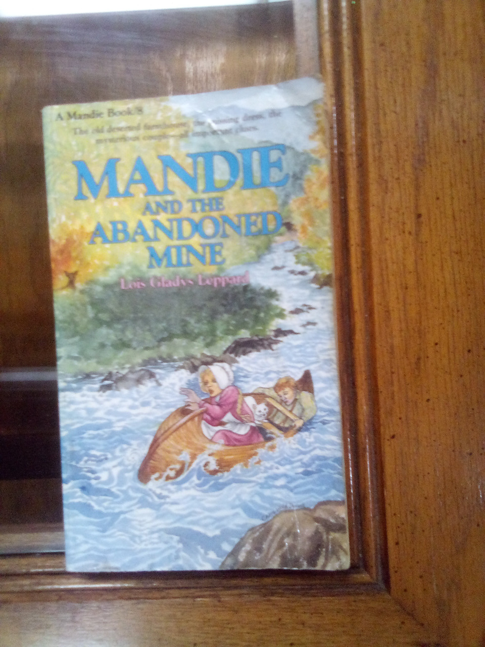 Mandie and the Abandoned Mine (Mandie, Book 8) Mass Market Paperback – May 1, 1987 - THIS IS A USED BOOK WITH A FRAYED COVER, PAGES HAS "DOG EARS" AND STAINED - IT IS A SUSPENSEFUL MYSTERY!